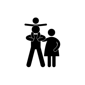 Image module